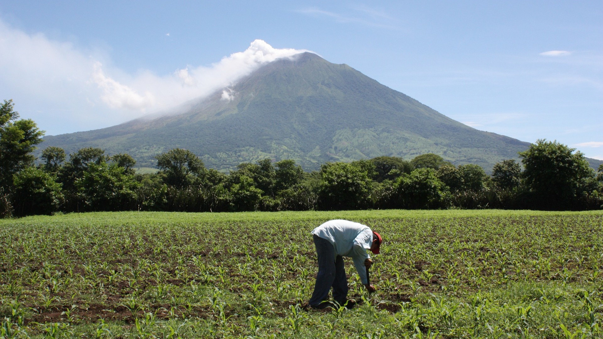 Política social y deterioro democrático en Centroamérica: reflexiones desde El Salvador, Nicaragua y Guatemala
