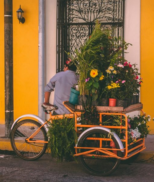 jorge-zapata-unsplash